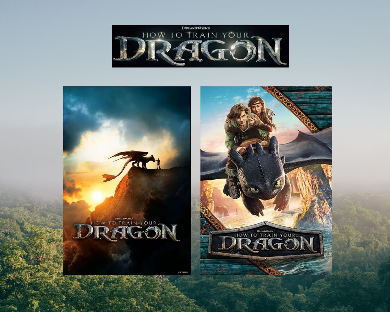 How to Train Your Dragon Wooden Jigsaw Puzzles - Officially Licensed