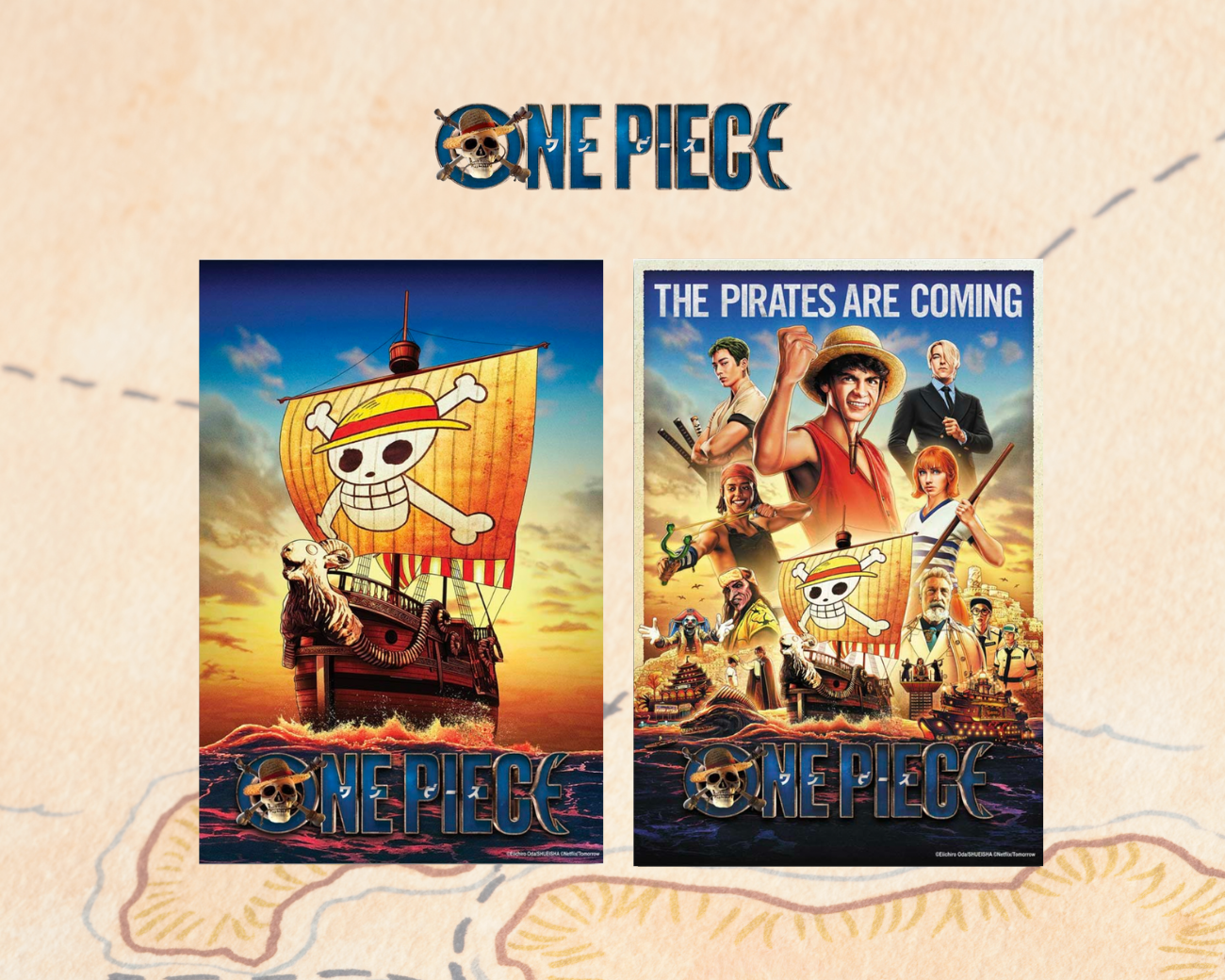 One Piece™