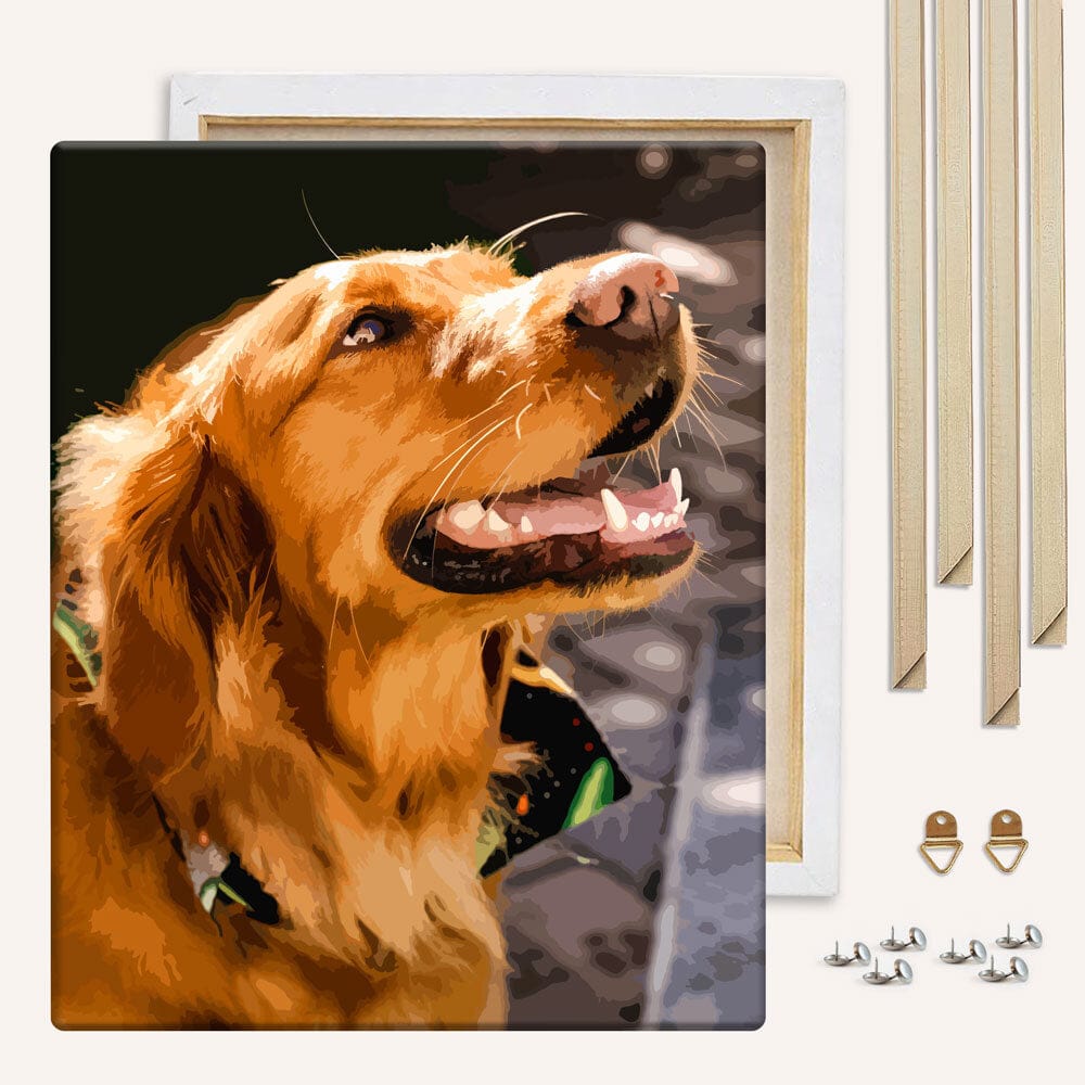 Painting By Numbers Kits 15.7" x 19.6" (40 x 50cm) - With DIY Wood Frame Custom Paint by Numbers Kit