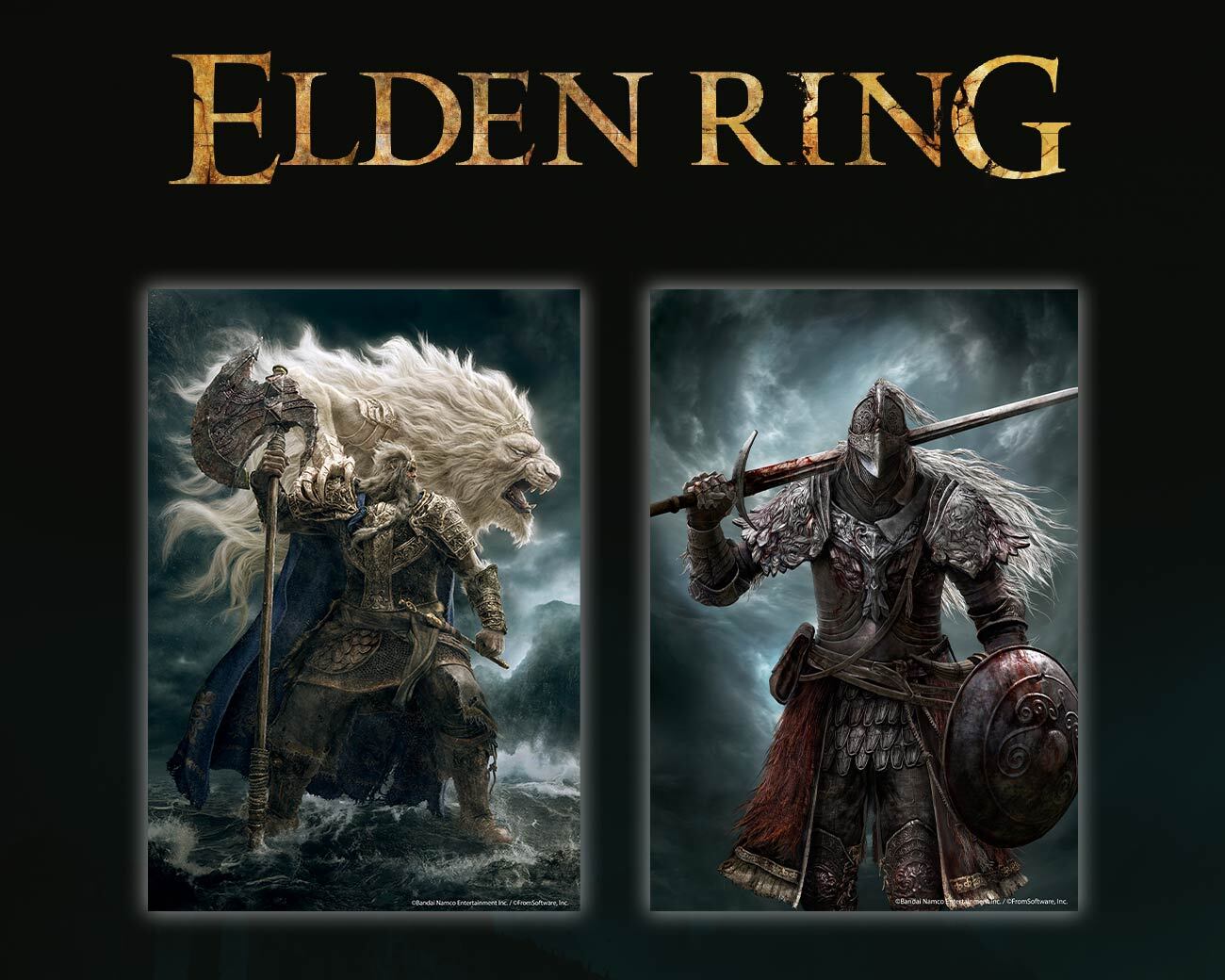 Elden Ring Wooden Jigsaw Puzzles - Officially Licensed