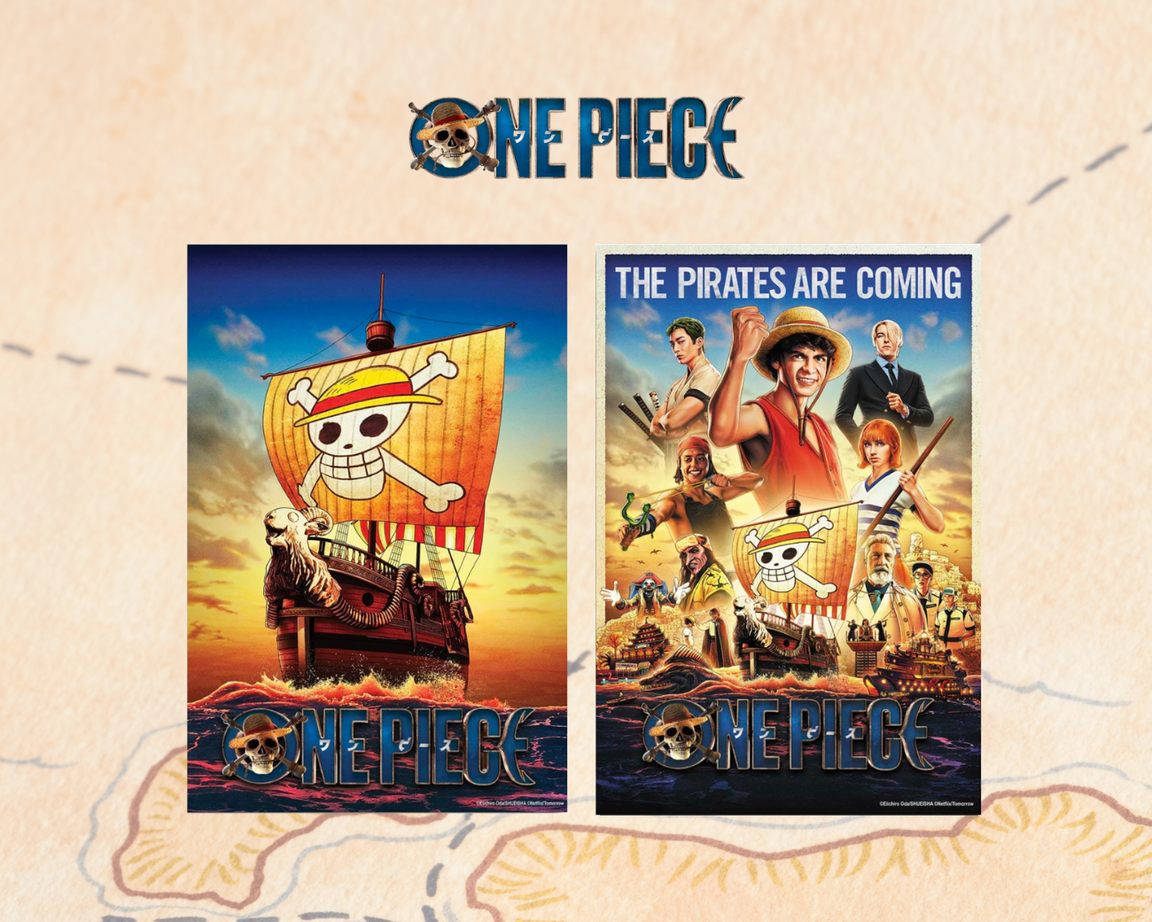 One Piece Wooden Jigsaw Puzzles - Officially Licensed