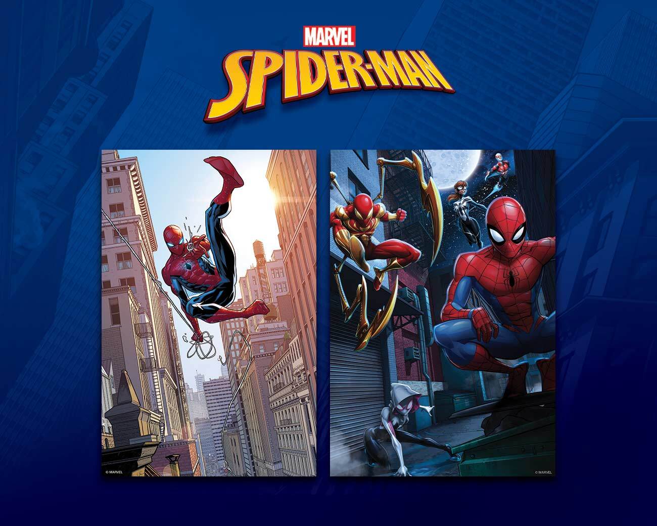 Spider-Man - Officially Licensed Products