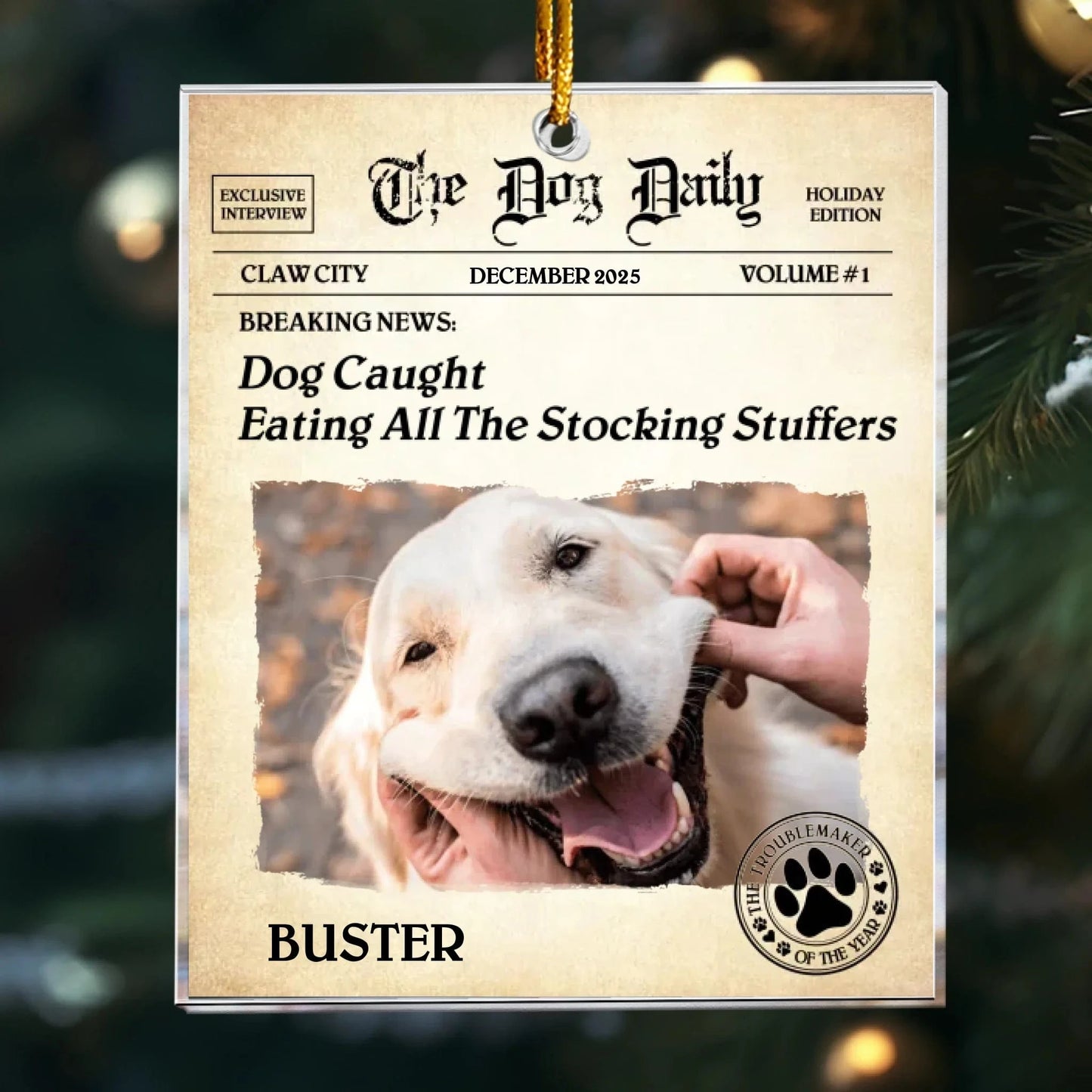 Personalized Ornaments Ornament Acrylic / Glass / 3.5in / 8.9cm The Dog Daily - BREAKING NEWS: Dog Personalized Acrylic Photo Ornament