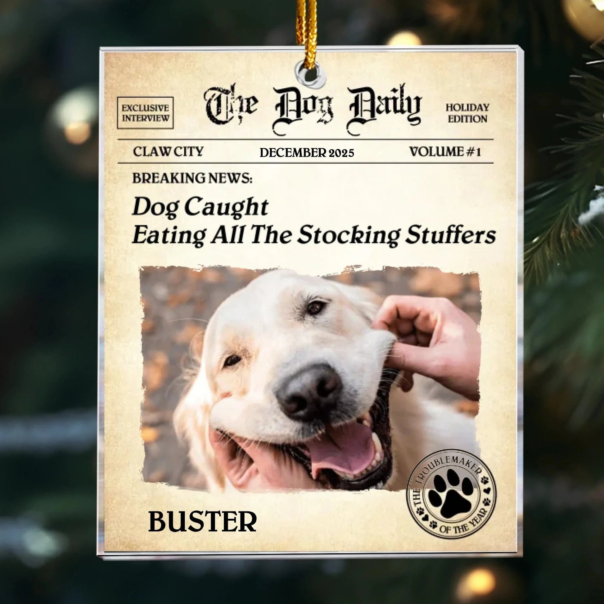 Personalized Ornaments Ornament Acrylic / Glass / 3.5in / 8.9cm The Dog Daily - BREAKING NEWS: Dog Personalized Acrylic Photo Ornament