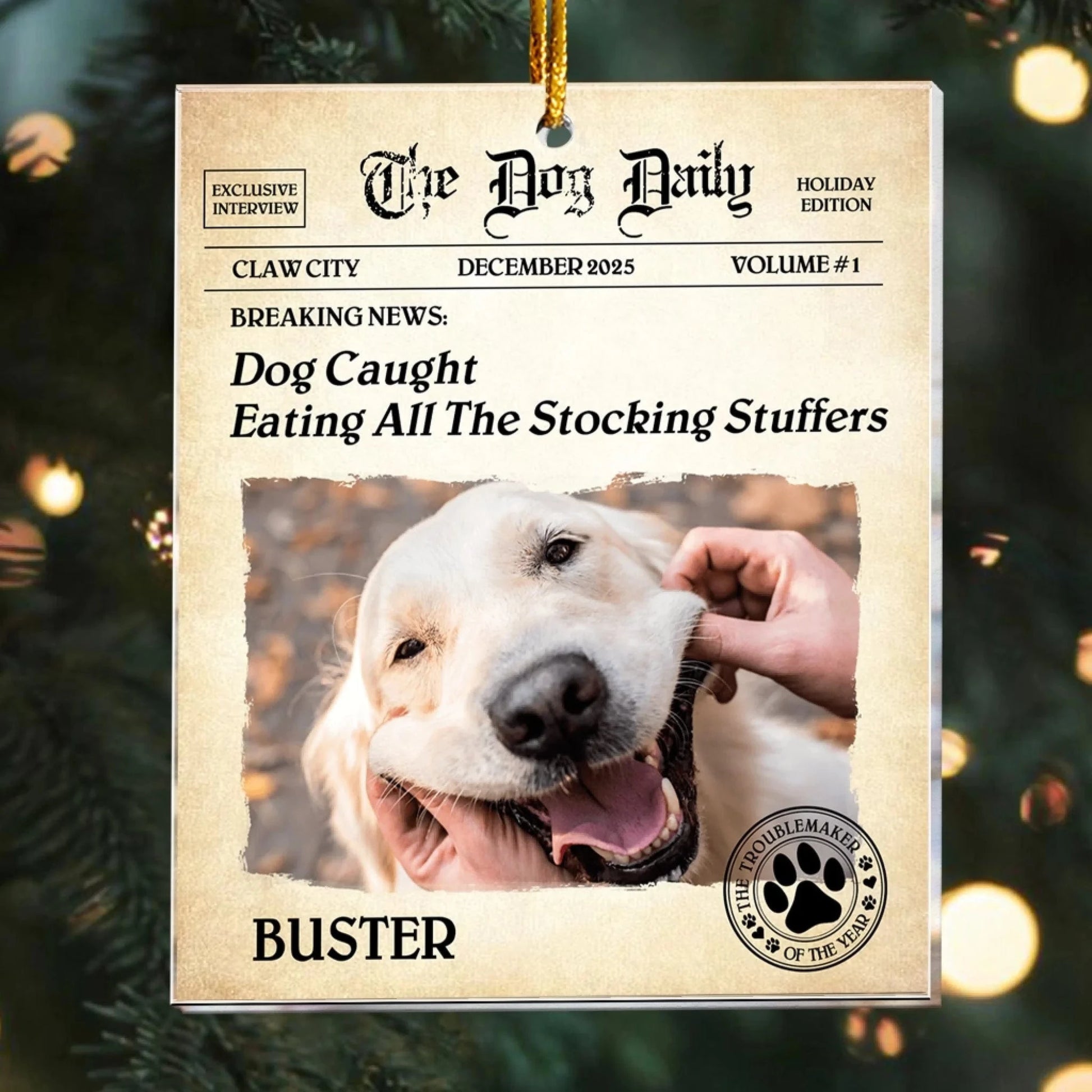 Personalized Ornaments The Dog Daily - BREAKING NEWS: Dog Personalized Acrylic Photo Ornament