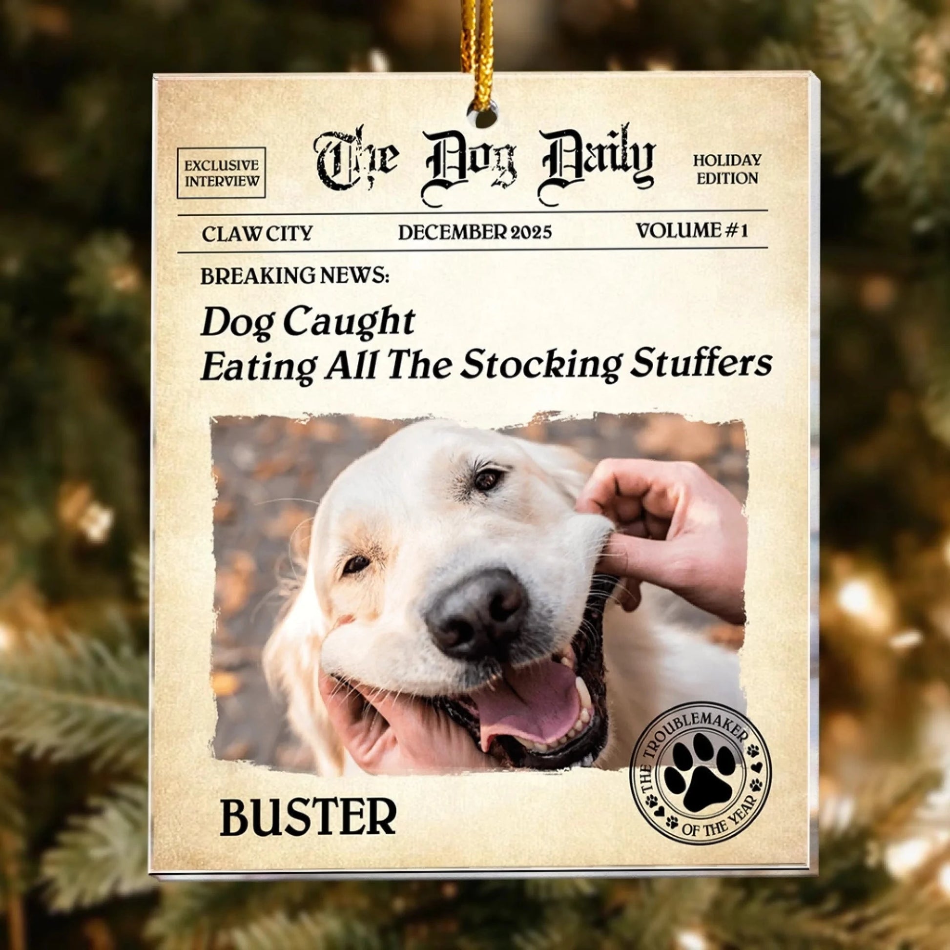 Personalized Ornaments The Dog Daily - BREAKING NEWS: Dog Personalized Acrylic Photo Ornament