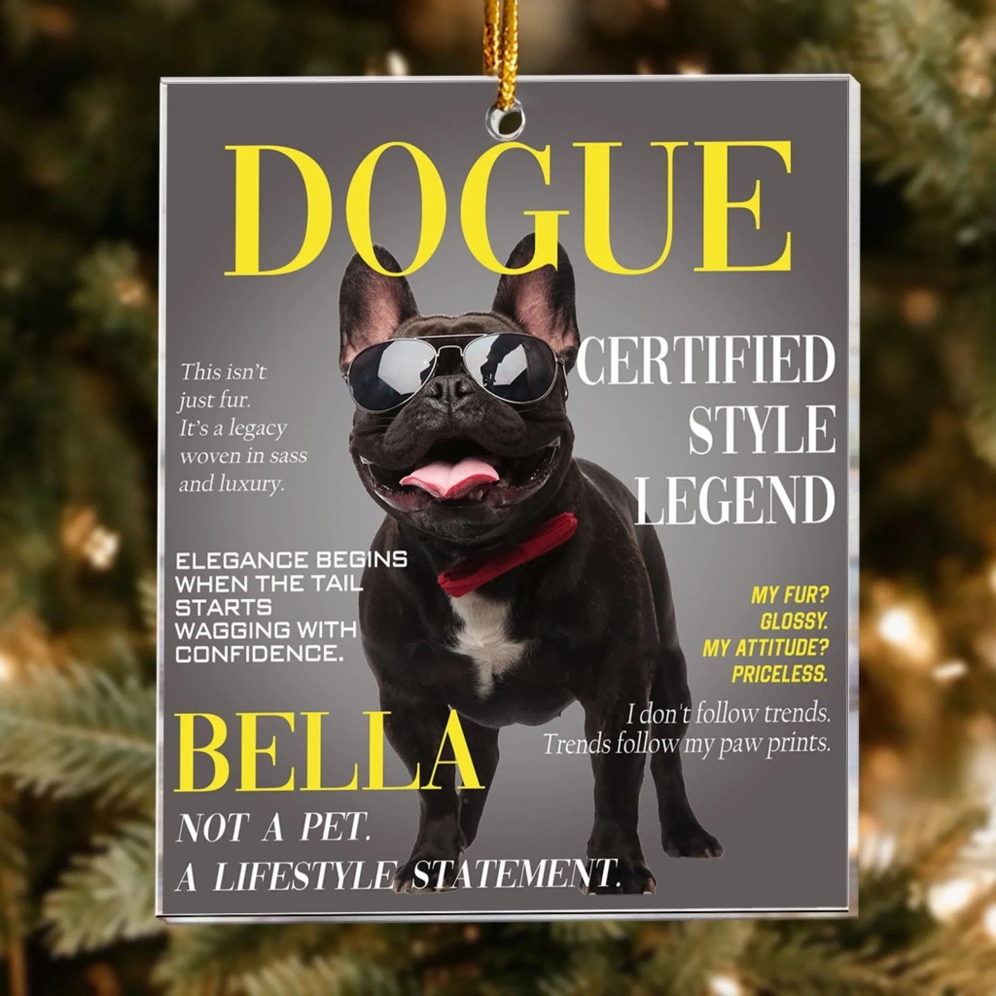 Personalized Ornaments Dogue Magazine, Custom Pet Portrait - Personalized Acrylic Photo Ornament