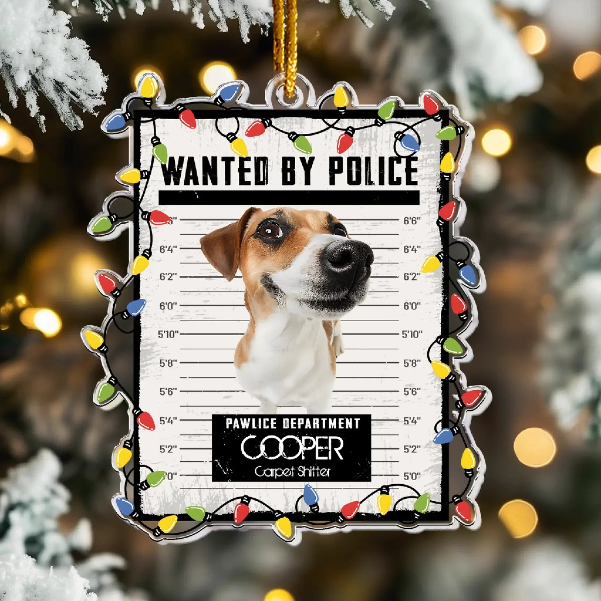 Pet Mugshot Portrait  - Funny Wanted Poster - Personalized Acrylic Photo Ornament