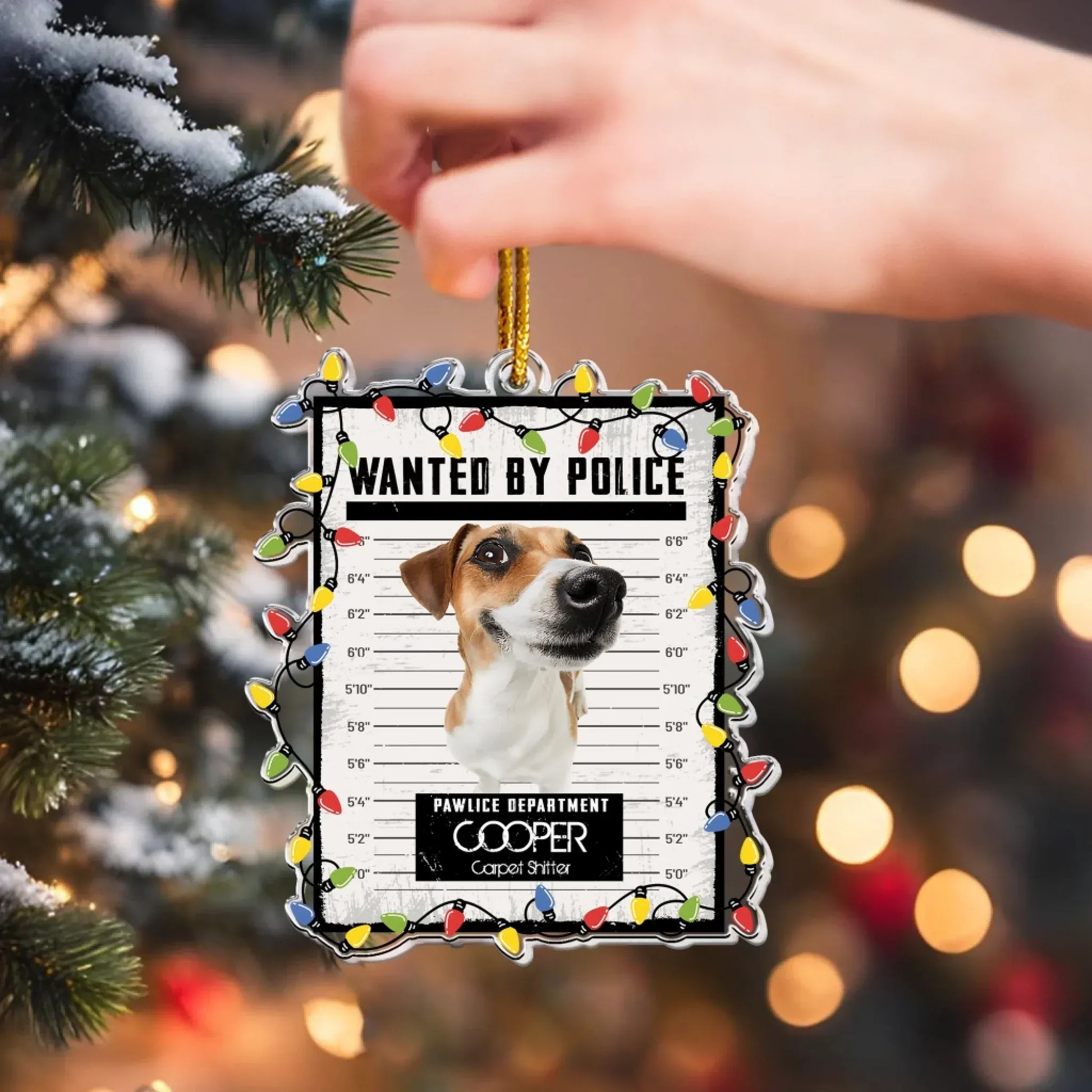 Pet Mugshot Portrait  - Funny Wanted Poster - Personalized Acrylic Photo Ornament
