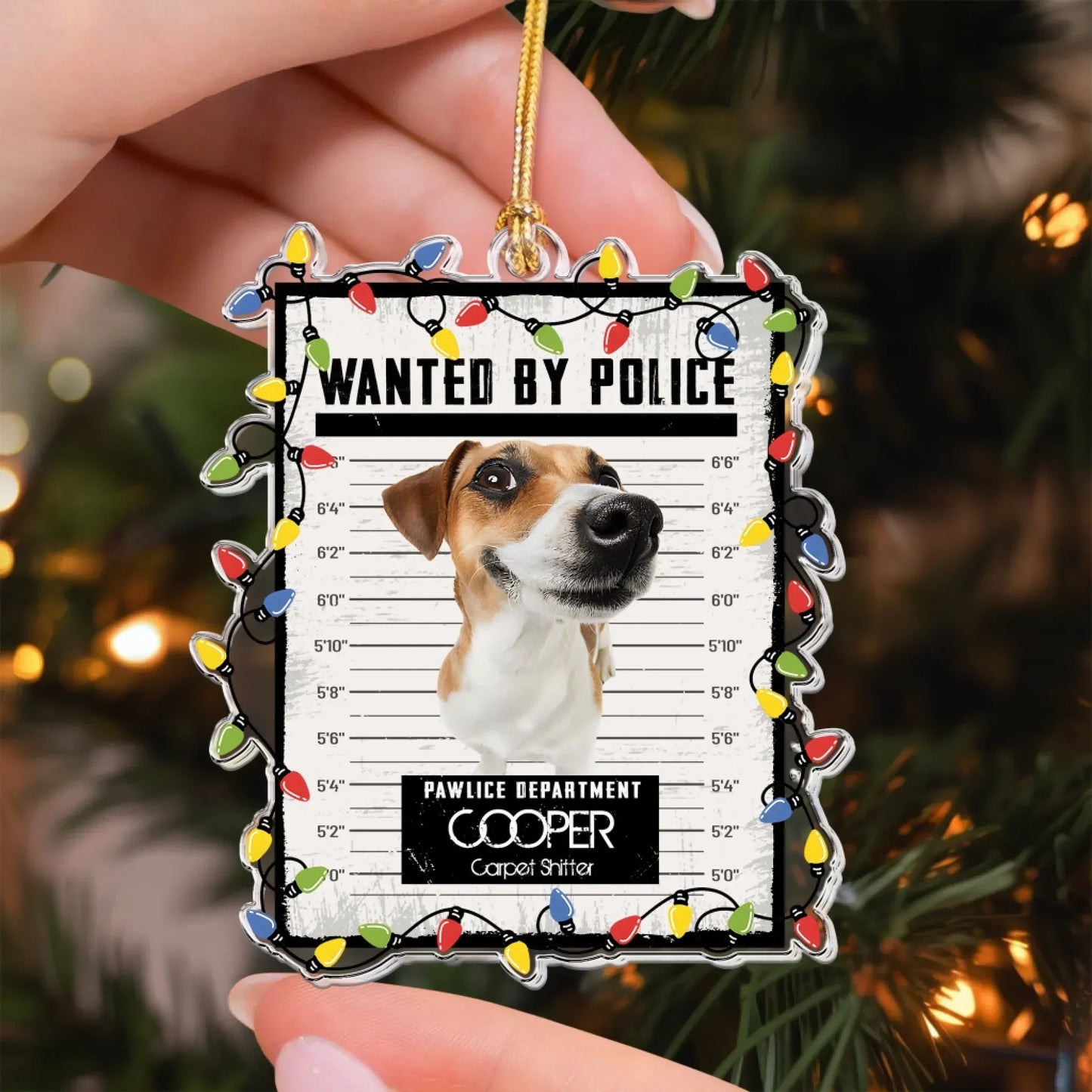 Pet Mugshot Portrait  - Funny Wanted Poster - Personalized Acrylic Photo Ornament