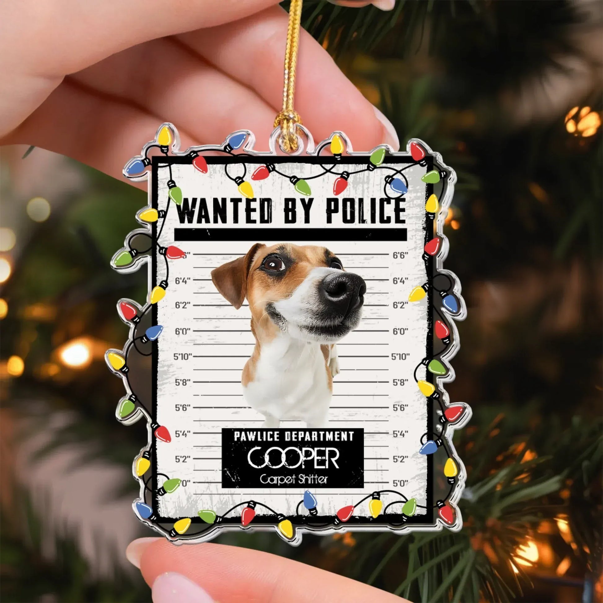 Pet Mugshot Portrait  - Funny Wanted Poster - Personalized Acrylic Photo Ornament