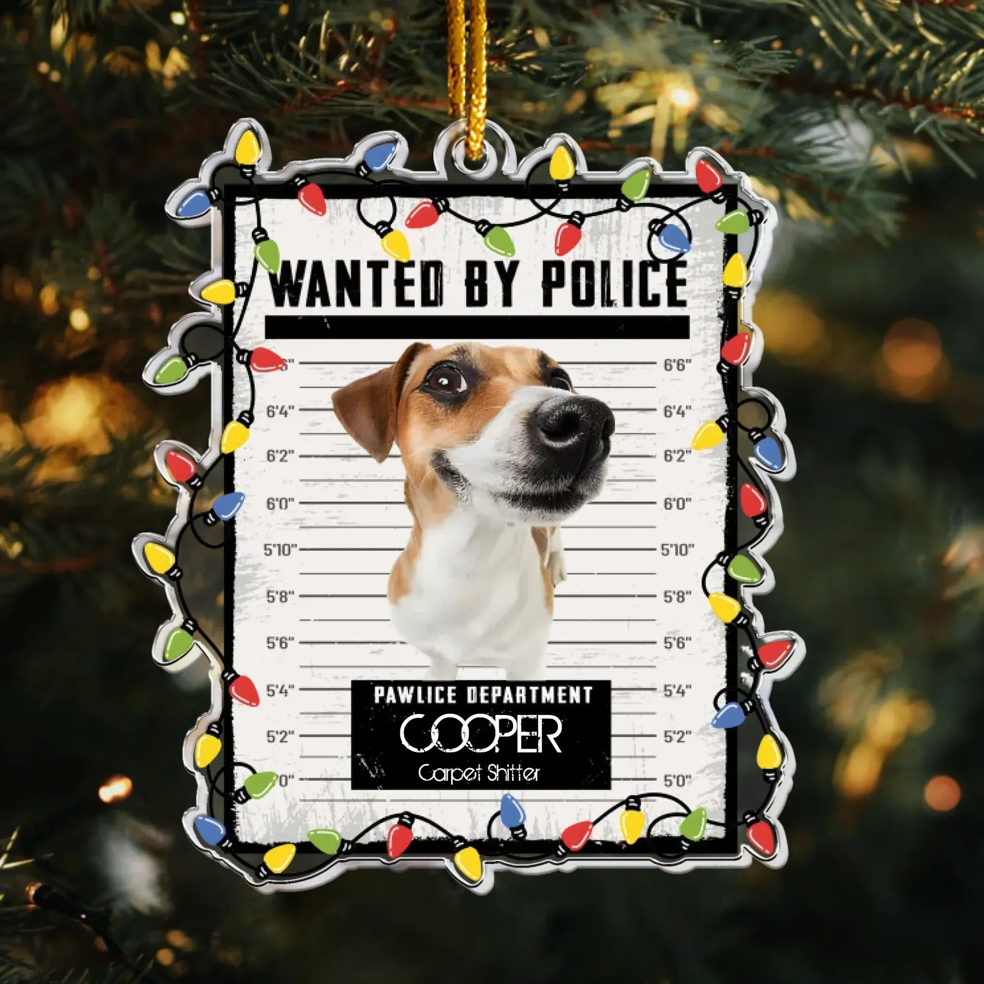 Ornament Acrylic / Glass / 3.5in / 8.9cm Pet Mugshot Portrait  - Funny Wanted Poster - Personalized Acrylic Photo Ornament