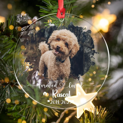 Personalized Ornaments Forever Loved, Never Forgotten - Personalized Dog Memorial Photo Acrylic Ornament