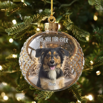 Personalized Ornaments You're The Most Luxurious Diamond - Personalized Pet Lovers Photo Upload Acrylic Ornament