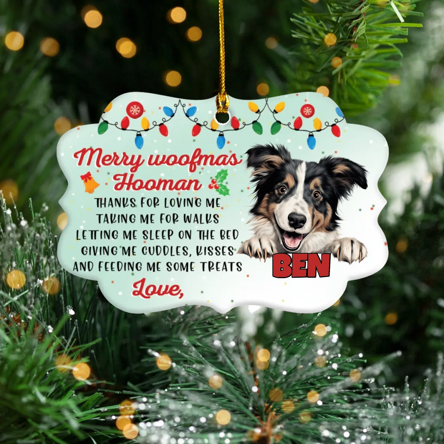 Personalized Ornaments Ornament Acrylic DMT / Glass / 3.5in / 8.9cm Merry Woofmas Hooman - Personalized Dog Lovers Custom Acrylic Ornament