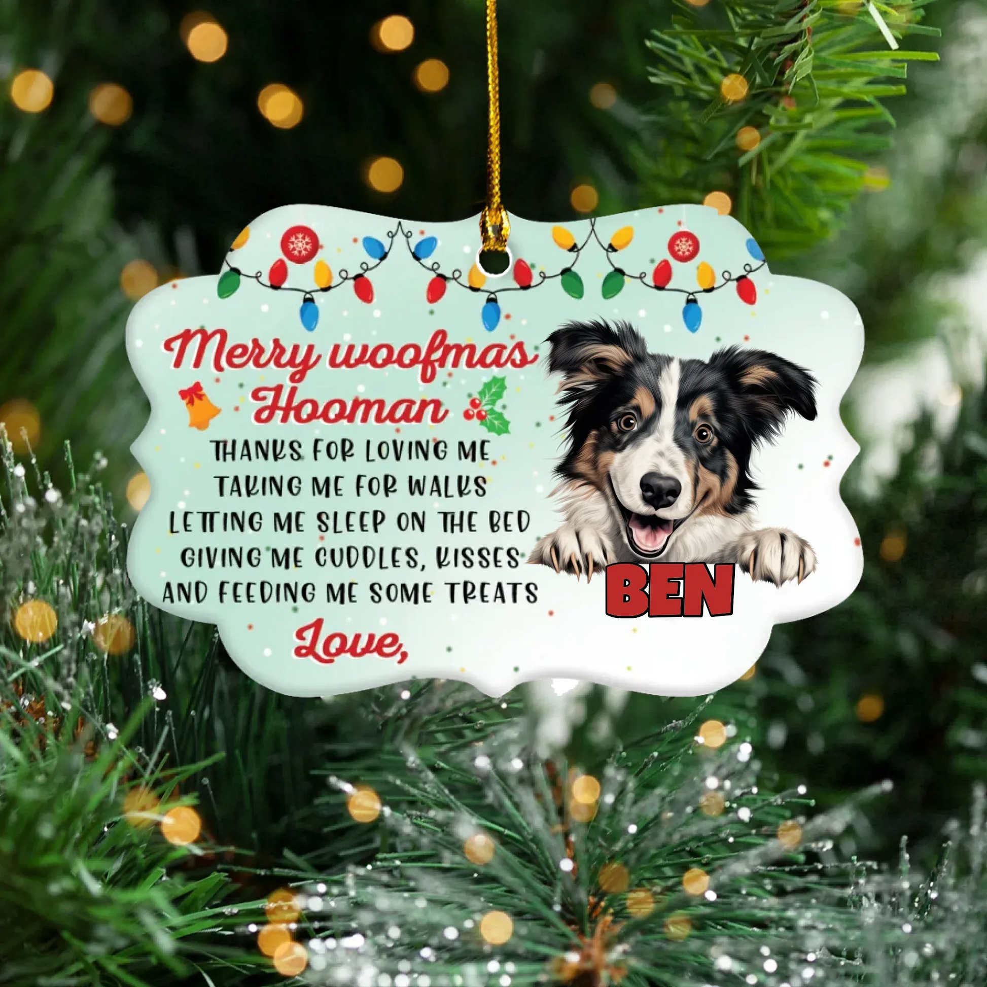 Personalized Ornaments Ornament Acrylic DMT / Glass / 3.5in / 8.9cm Merry Woofmas Hooman - Personalized Dog Lovers Custom Acrylic Ornament