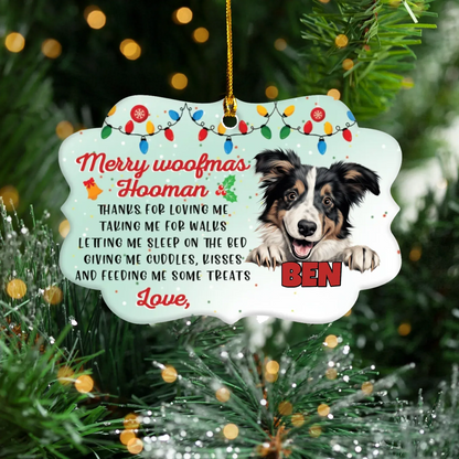 Personalized Ornaments Ornament Acrylic DMT / Glass / 3.5in / 8.9cm Merry Woofmas Hooman - Personalized Dog Lovers Custom Acrylic Ornament