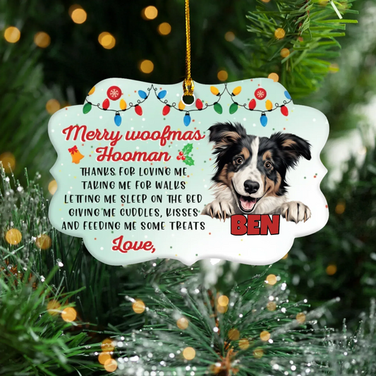 Personalized Ornaments Ornament Acrylic DMT / Glass / 3.5in / 8.9cm Merry Woofmas Hooman - Personalized Dog Lovers Custom Acrylic Ornament