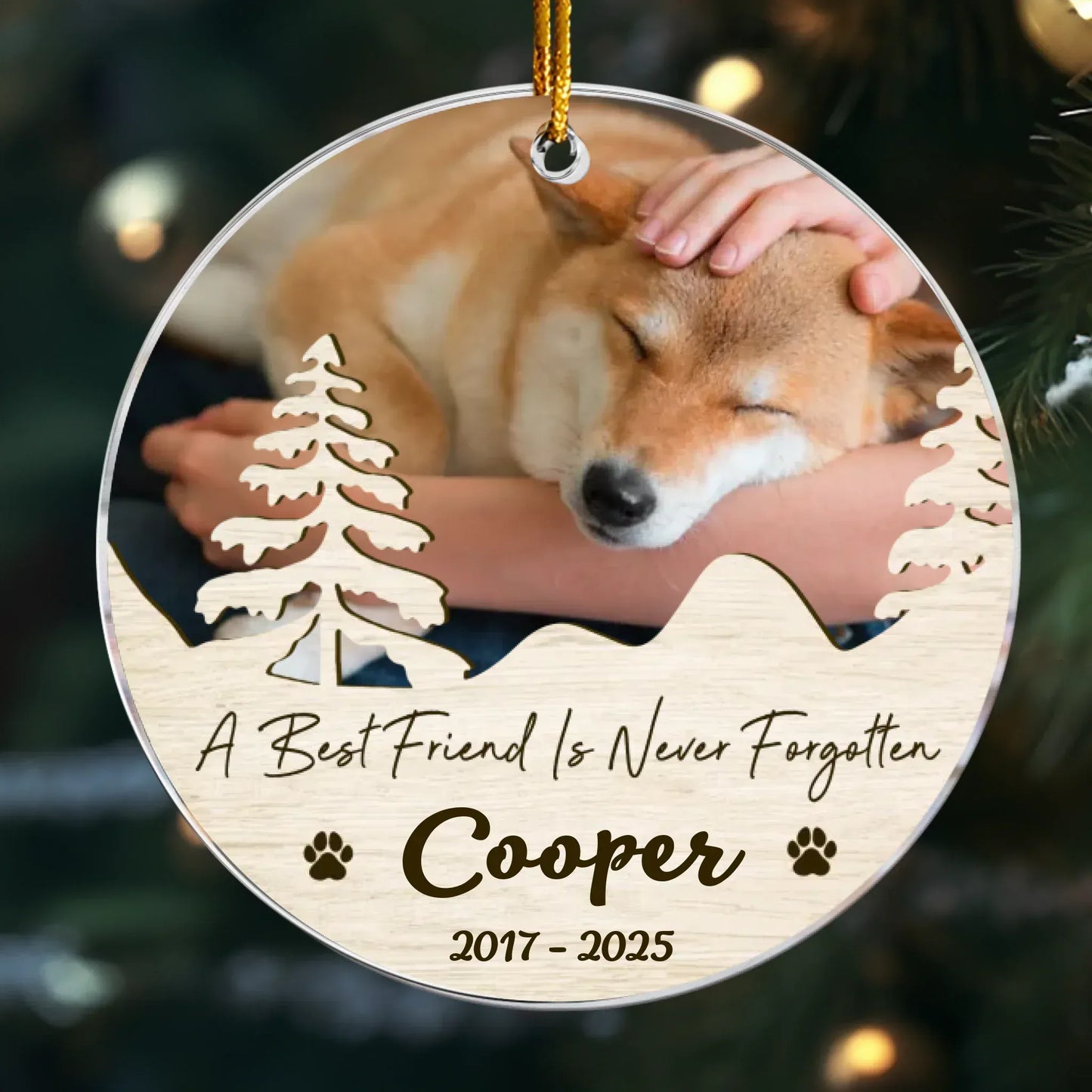 Ornament Acrylic / Glass / 3.5in / 8.9cm A Best Friend Is Never Forgotten - Pet Sympathy Gift - Personalized Dog Acrylic Photo Ornament