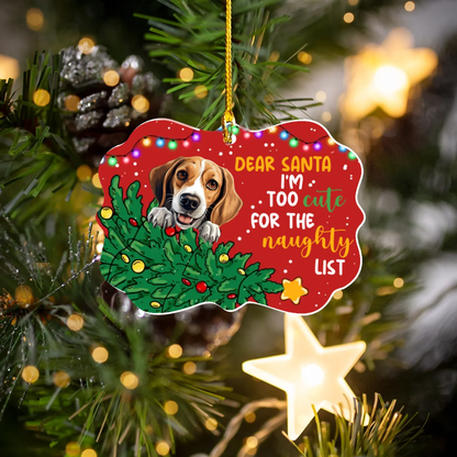 Personalized Ornaments Ornament Acrylic DMT / Glass / 3.5in / 8.9cm Dear Santa, I'm Too Cute For The Naughty List - Personalized Dog And Cat Lovers Custom Ornament