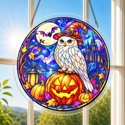 Acrylic Jigsaw Puzzle Acrylic Jigsaw Puzzle Suncatcher - Witch Owl