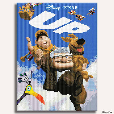 Diamond Painting Kits 15.7" x 21.3" | 40cm x 54cm Up Adventure - Diamond Painting Kit