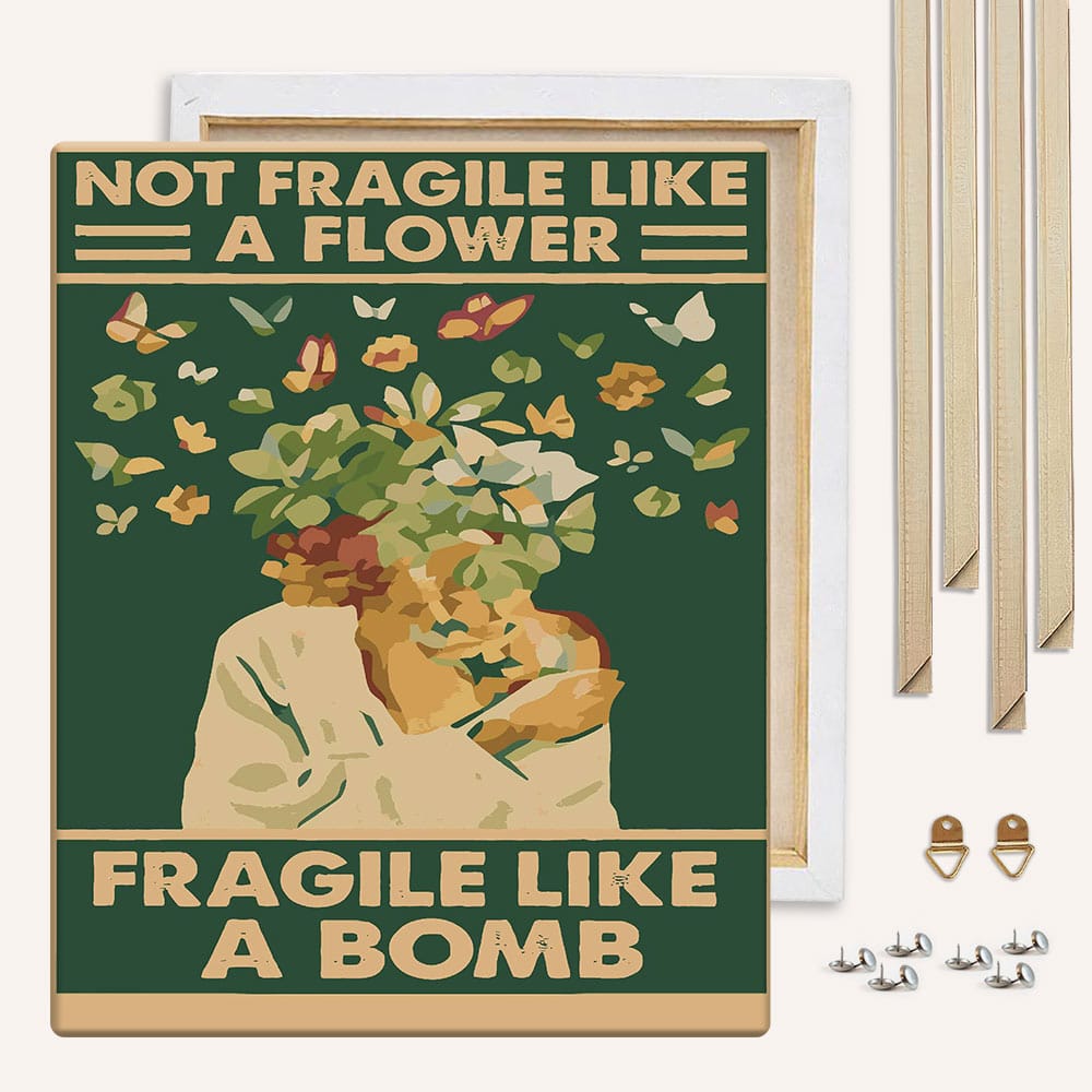 Painting By Numbers Kits With DIY Wood Frame Fragile Like A Bomb - Paint By Numbers Kit