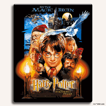 Painting By Numbers Kits Without Frame Harry Potter and the Sorcerer's Stone - Paint By Numbers Kit