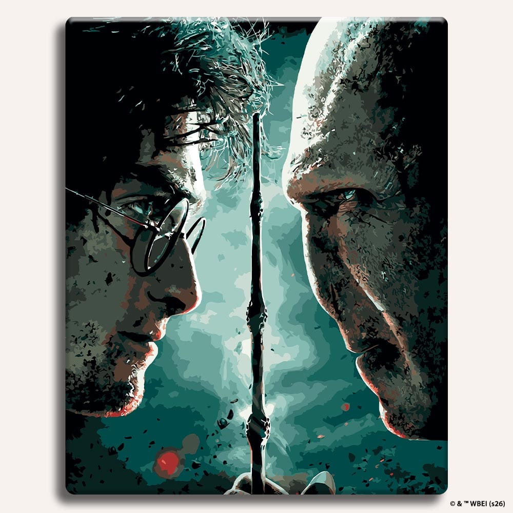 Painting By Numbers Kits Without Frame Harry vs Voldemort - Paint By Numbers Kit