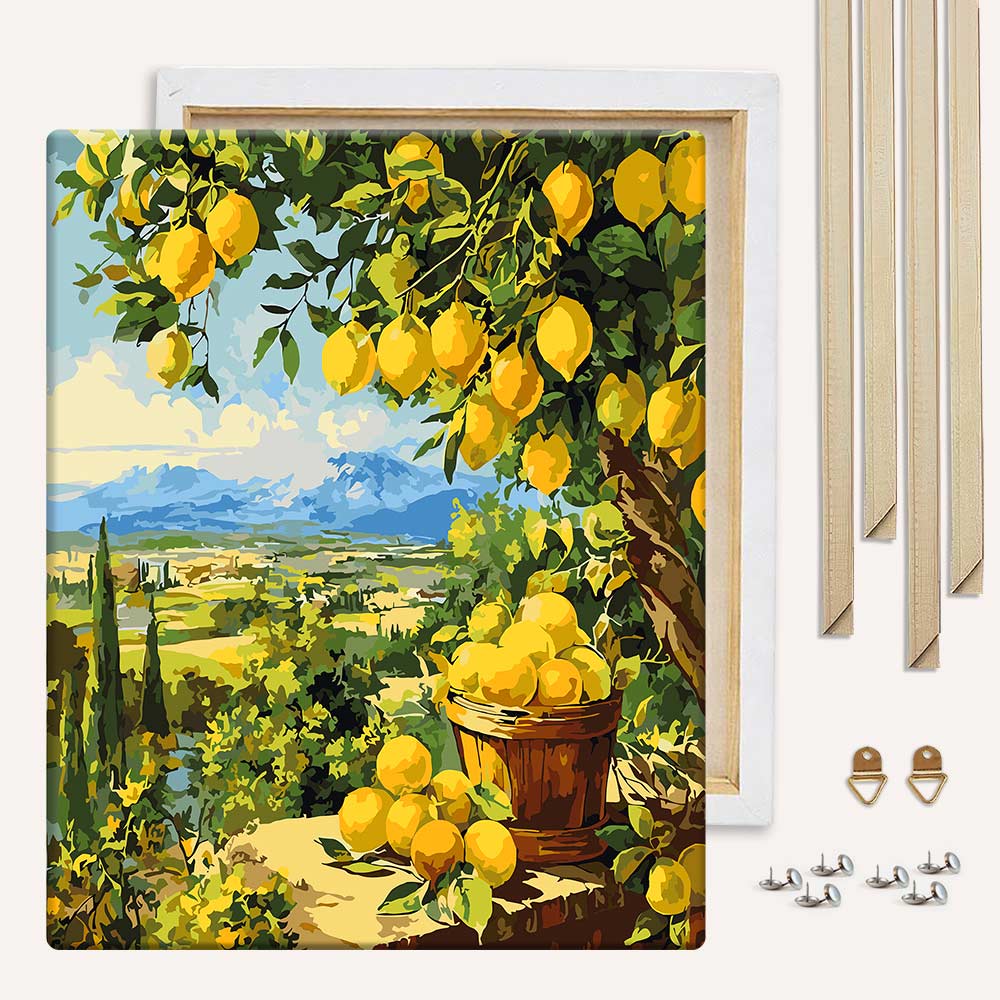 Painting By Numbers Kits With DIY Wood Frame Lemon Garden - Paint By Numbers Kit