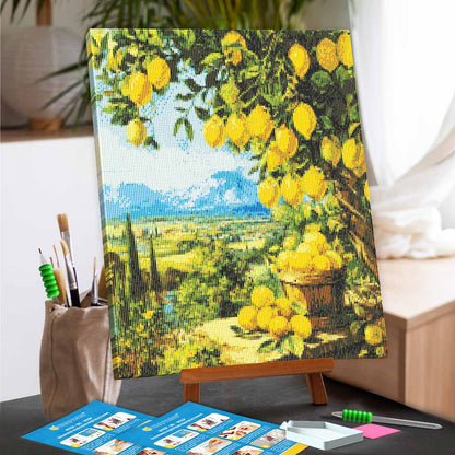 Diamond Painting Kits 15.7" x 19.6" (40 x 50cm) Lemon Garden - Diamond Painting Kit