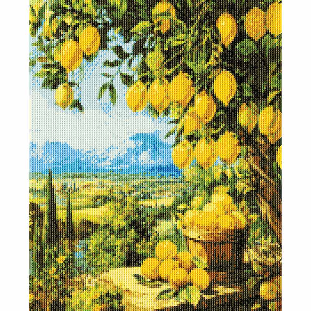 Diamond Painting Kits 15.7" x 19.6" (40 x 50cm) Lemon Garden - Diamond Painting Kit