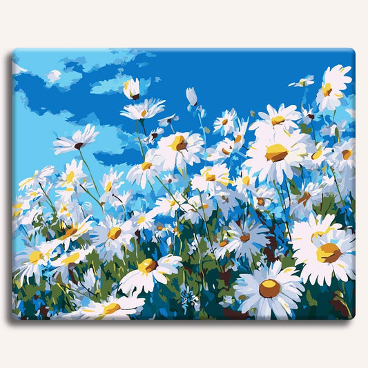 Painting By Numbers Kits 15.7" x 19.6" (40 x 50cm) Summer Daisies - Paint By Numbers Kit
