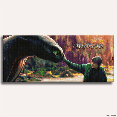 Diamond Painting Kits 25.4" x 11" / 65cm x 28cm This Is Berk - Diamond Painting Kit