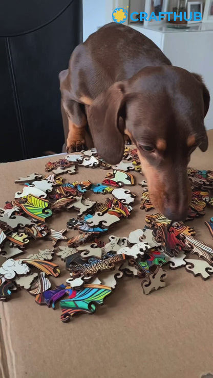 Dachshund / Sausage Dog - Jigsaw Puzzle