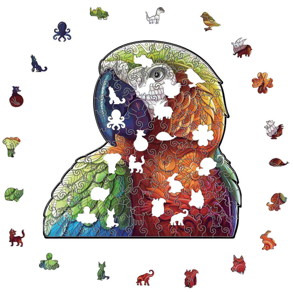 African Parrot - Jigsaw Puzzle